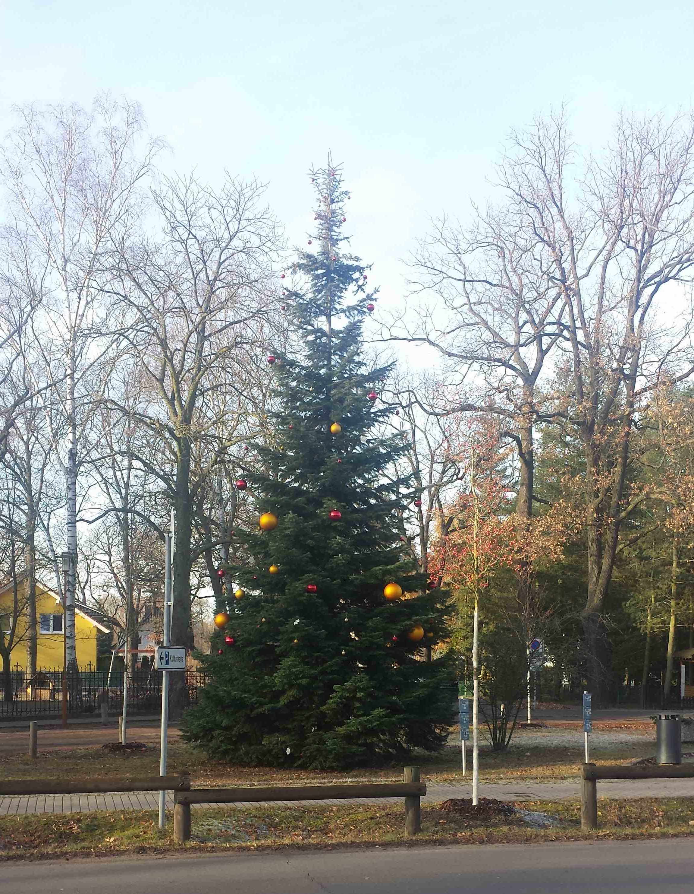 weihnachtsbaum_lehnitz_2016