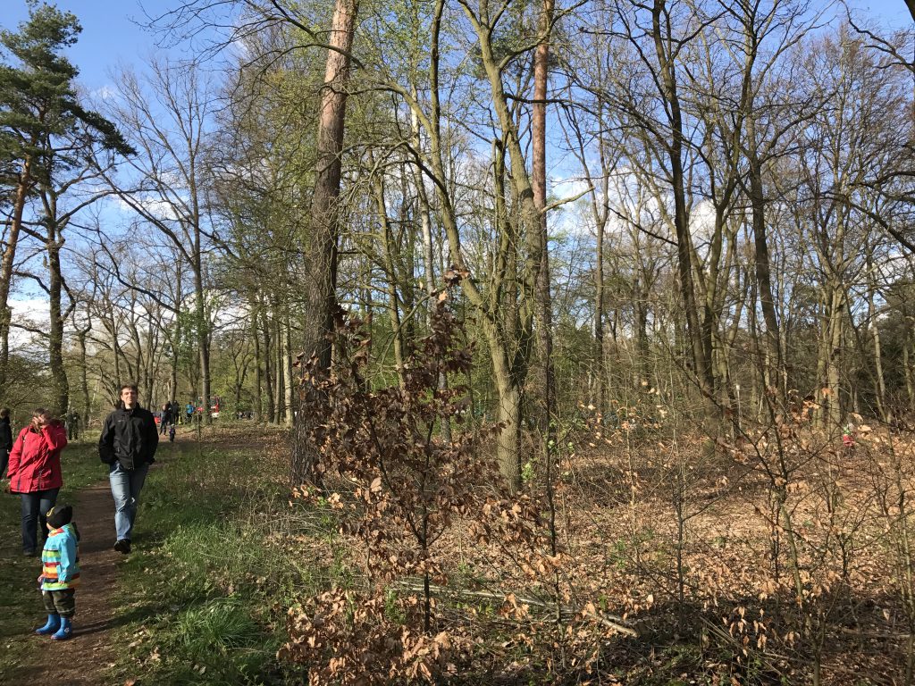 Ostereiersuche im Lehnitzer Waldstück am Lehnitzsee