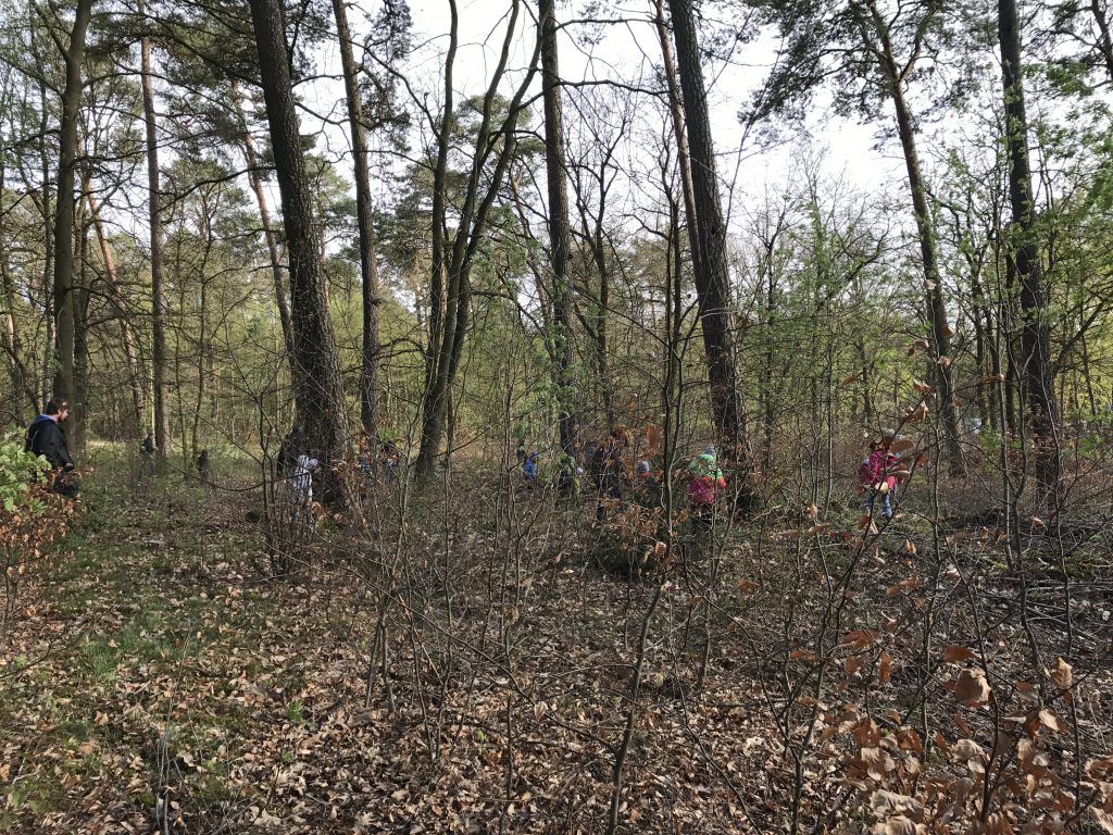 Ostereiersuche im Lehnitzer Waldstück am Lehnitzsee (2)