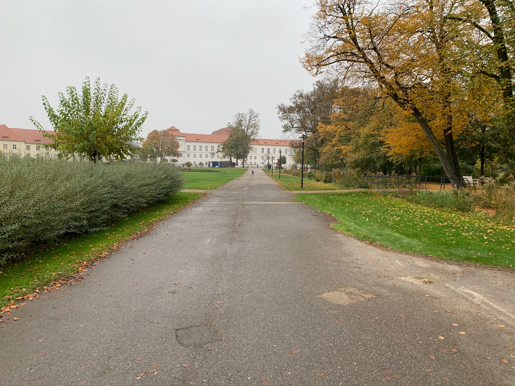 Weg zur Park-Kita durch den Oranienburger Schlosspark - Blick zum Schloss